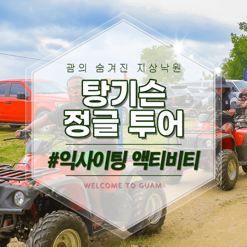 인기 상품