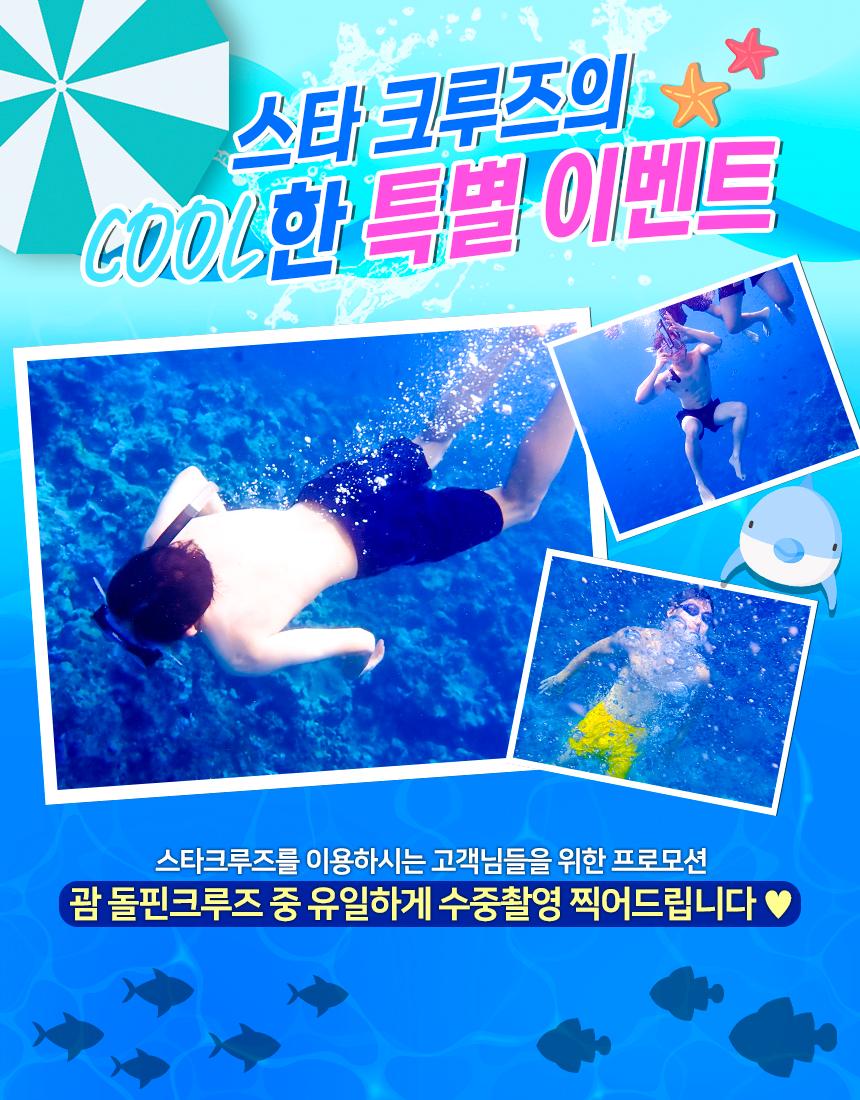 스타 돌핀 크루즈 상세 이미지 2