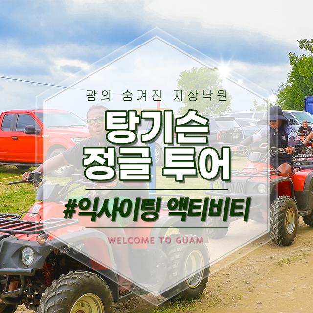 탕기슨 정글투어