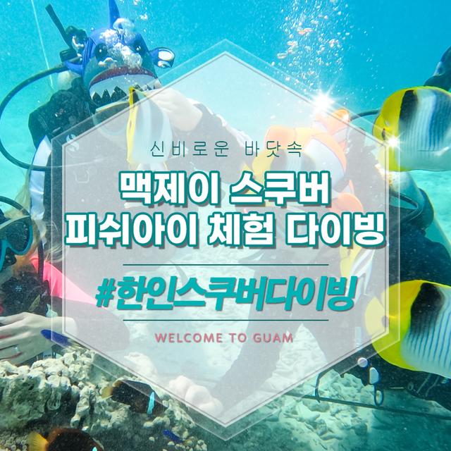 맥제이 체험 스쿠버 다이빙
