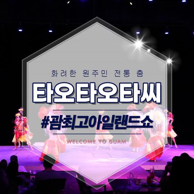 타오타오타씨 디너쇼